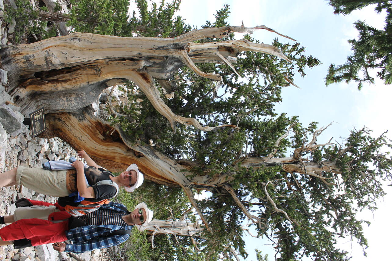 Great Basin NP